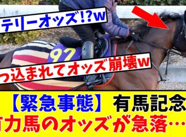【有馬記念】【緊急事態】上位人気馬のオッズがまさかの急落して競馬ファンから”本命不安”の悲鳴が…www