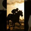 アグネスデジタル｜怪物が走れなかった。 #競馬 #アグネスデジタル
