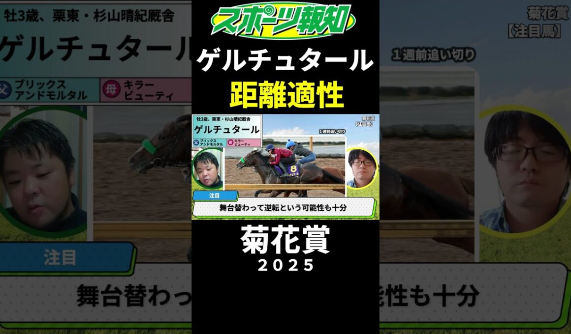 【菊花賞2025】ゲルチュタールの不安要素…距離適性は？取捨ポイントを競馬記者が解説