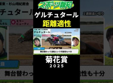 【菊花賞2025】ゲルチュタールの不安要素…距離適性は？取捨ポイントを競馬記者が解説