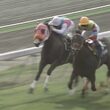 【函館3歳ステークス】1997年アグネスワールドがレコードタイムでデビュー2連勝　武豊はこのレースでJRA全10場重賞制覇を達成