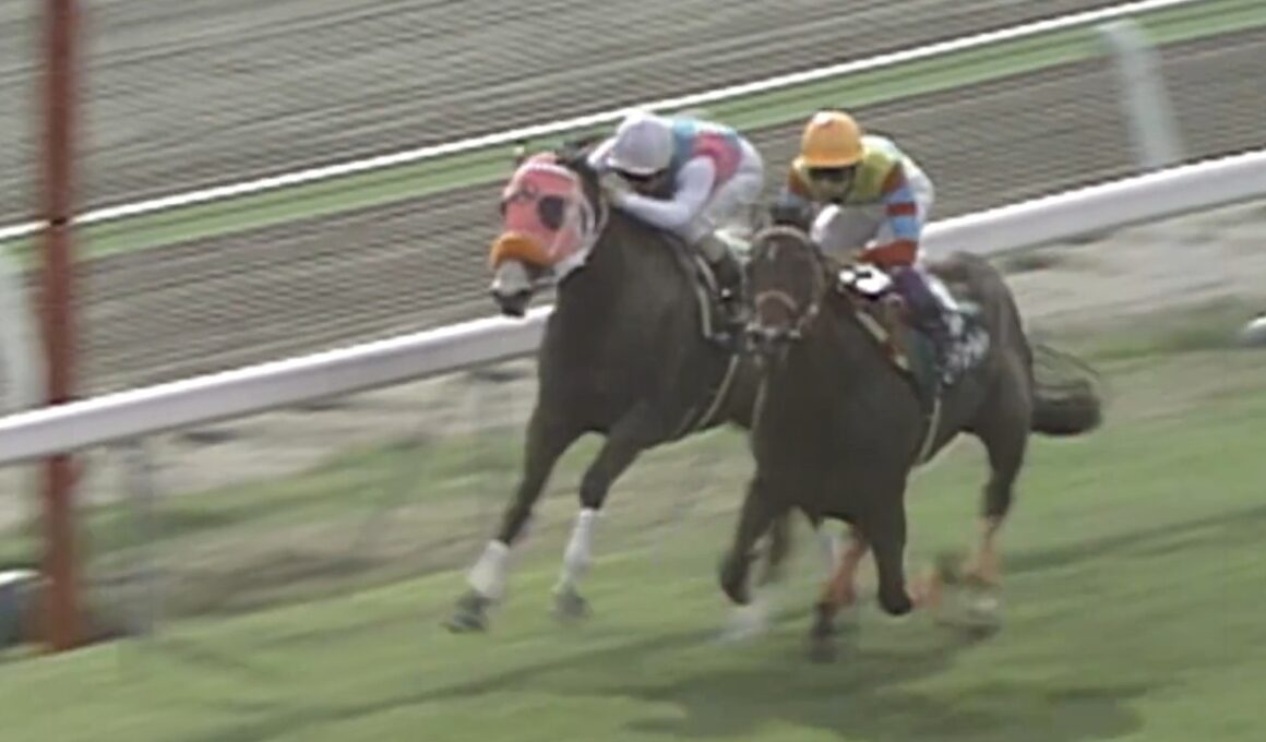 【函館3歳ステークス】1997年アグネスワールドがレコードタイムでデビュー2連勝　武豊はこのレースでJRA全10場重賞制覇を達成