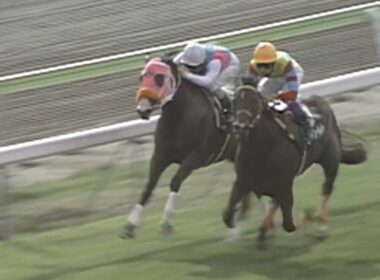 【函館3歳ステークス】1997年アグネスワールドがレコードタイムでデビュー2連勝　武豊はこのレースでJRA全10場重賞制覇を達成