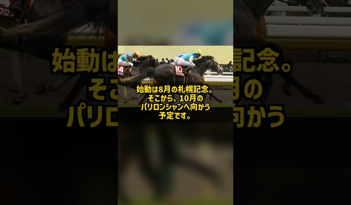 アドマイヤテラが凱旋門賞へ 天皇賞3着馬が欧州最高峰に挑む #Shorts