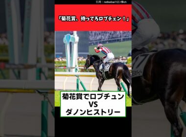 【菊花賞待ってろロブチェン！】#菊花賞#ロブチェン#復活 #競馬