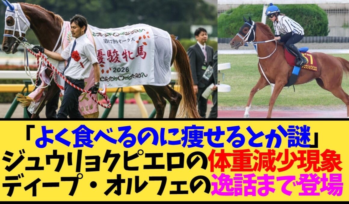 【悲報】ジュウリョクピエロ、主戦騎手に『元気すぎてちょっと嫌だ』と言われてしまう…【競馬】