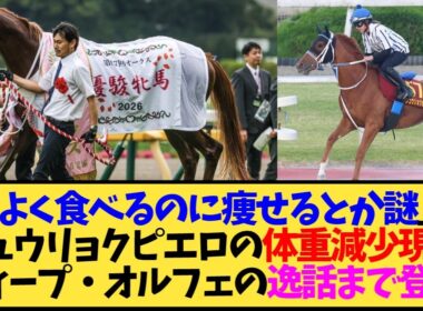 【悲報】ジュウリョクピエロ、主戦騎手に『元気すぎてちょっと嫌だ』と言われてしまう…【競馬】
