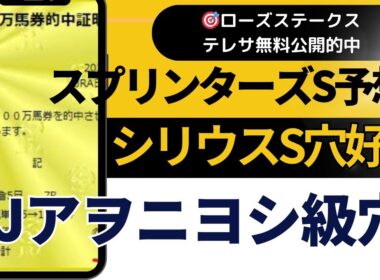 2025年　スプリンターズステークス予想【昨日シリウスSジューンアヲニヨシ無料公開　今日の穴候補は】