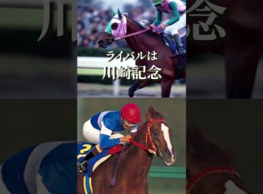日本競馬の歴史を変えた“みちのくの英雄”。史上初、地方所属馬として中央GⅠを制覇した伝説の名馬　#shorts #競馬 #メイセイオペラ