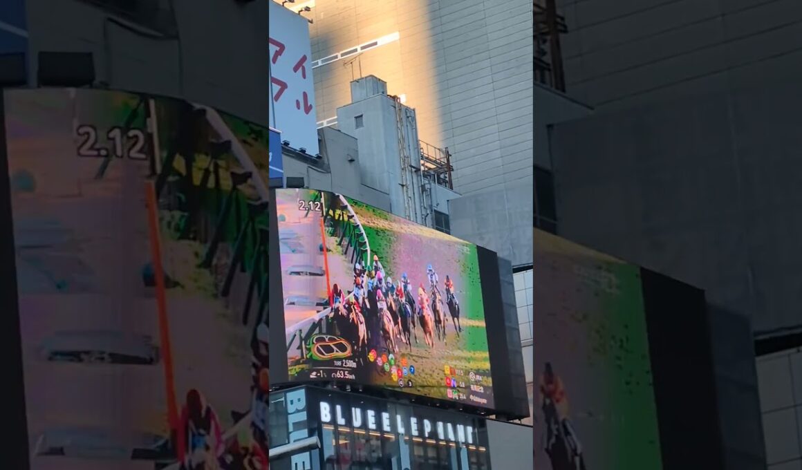 有馬記念2025 新宿
