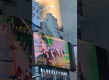 有馬記念2025 新宿