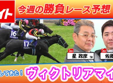 【競馬エイト今週の勝負レース】ヴィクトリアマイル（星＆佐藤圭）