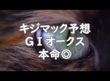 【競馬】2025年GⅠ優駿牝馬（オークス）キジマック予想◎ｽﾄﾏｯｸ