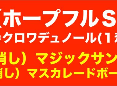 有馬のダブル好走に続け！【ホープフルステークス2024予想】クロワデュノール VS マスカレードボールが激突！今年最後の本命に選んだのは？！