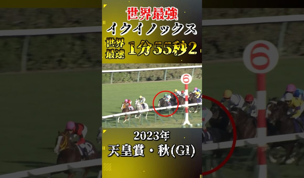 イクイノックス【2023年天皇賞・秋(GI)】#競馬 #shorts #天皇賞秋 #イクイノックス