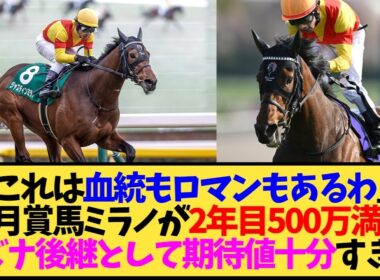 【ジャスティンミラノ】皐月賞だけで種付け料500万即満口…ディープ信仰おそるべし【競馬】