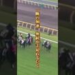 【スペシャルウィーク物語②】「5馬身差」"武豊はダービーを勝てない"に終止符を打った馬