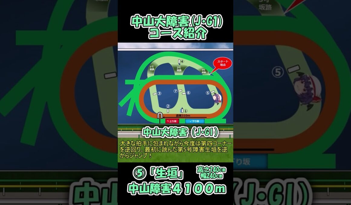 中山大障害コース紹介