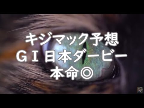 【競馬】2025年GⅠ東京優駿（日本ダービー）キジマック予想◎ｽﾄﾏｯｸ