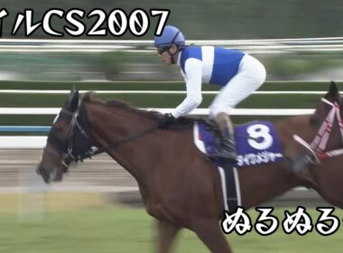 ダイワメジャー　マイルチャンピオンシップ 2007 ぬるぬる化で見よう conv to 60fps