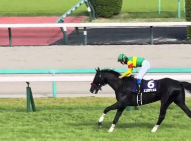 ［現地観戦］2026.4.18（土）中山11R 中山グランドジャンプ（J･G1）