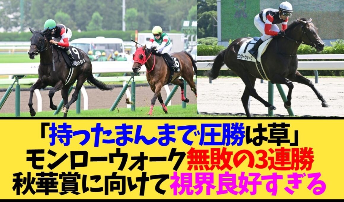 【モンローウォーク】無敗3連勝で秋華賞へ…キズナ産駒の牝馬が持ったまま圧勝で話題に【競馬】