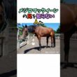 メジロマックイーンの兄を知らない人へ #競馬#horse