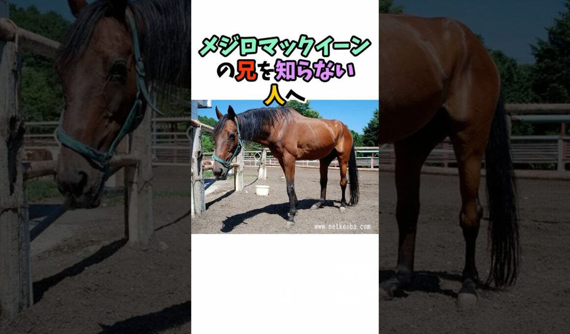メジロマックイーンの兄を知らない人へ #競馬#horse