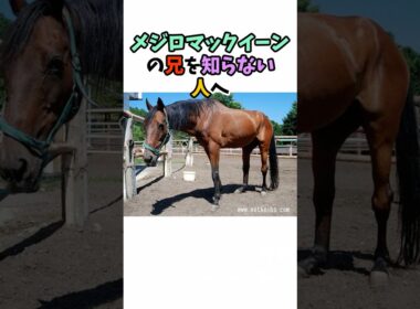 メジロマックイーンの兄を知らない人へ #競馬#horse