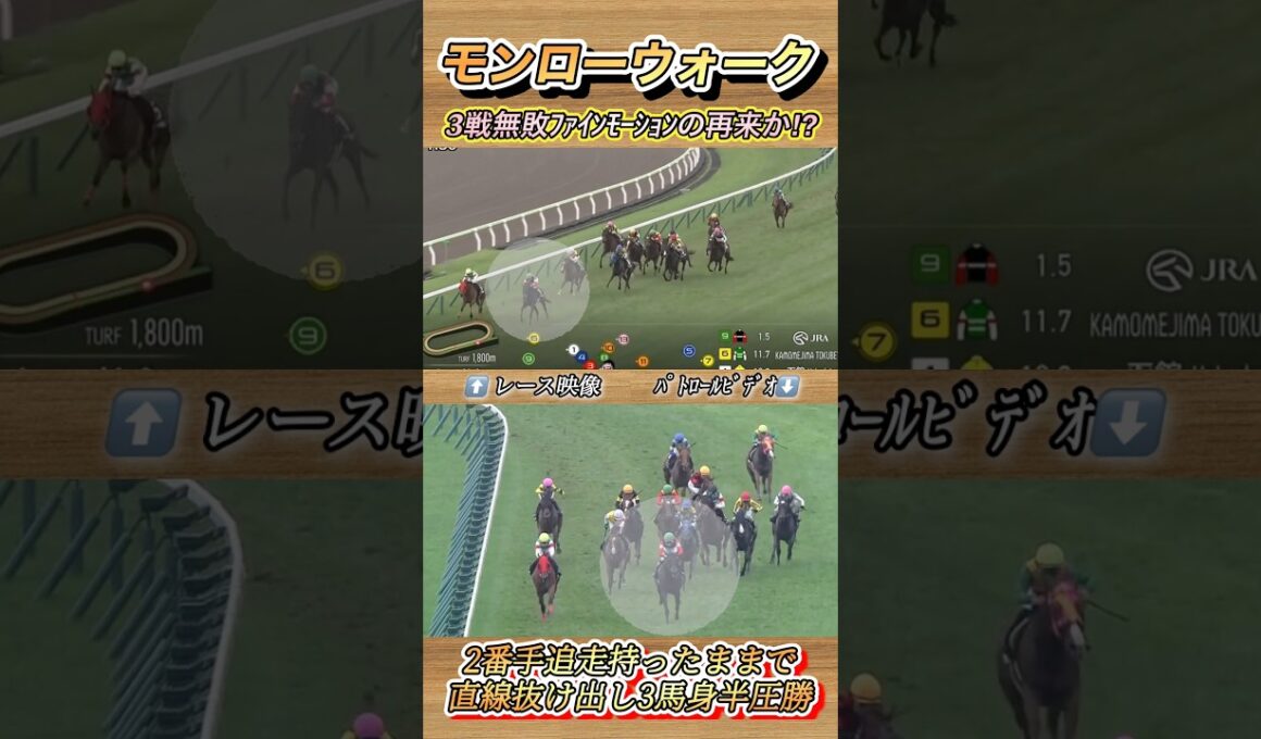 3歳牝馬最終兵器モンローウォークが持ったまま3馬身半圧勝！秋華賞有力馬へ✨　#競馬  #モンローウォーク  #横山武史  #函館競馬場  #shorts