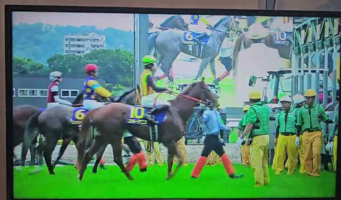 競馬収録放送第87回優駿牝馬 オークス(GⅠ)