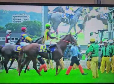 競馬収録放送第87回優駿牝馬 オークス(GⅠ)