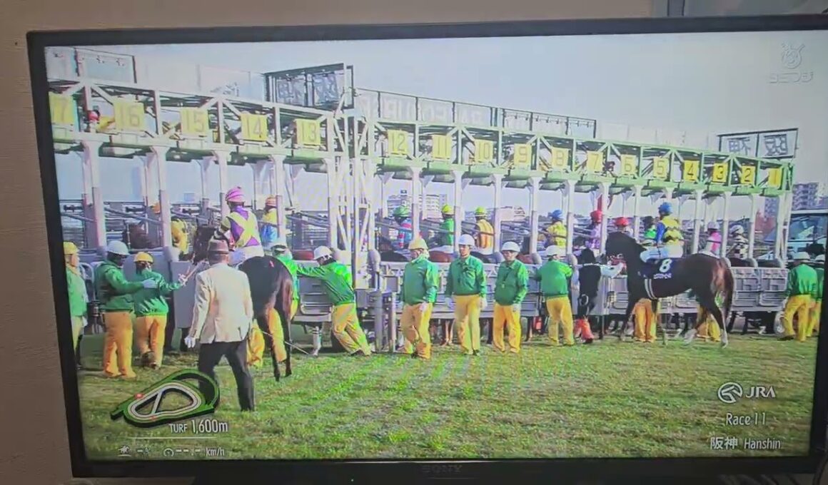 競馬収録放送 第77回阪神ジュベナイルフィリーズ(GⅠ)