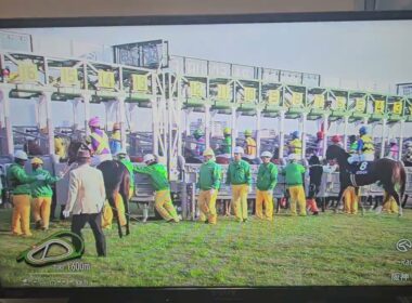 競馬収録放送 第77回阪神ジュベナイルフィリーズ(GⅠ)