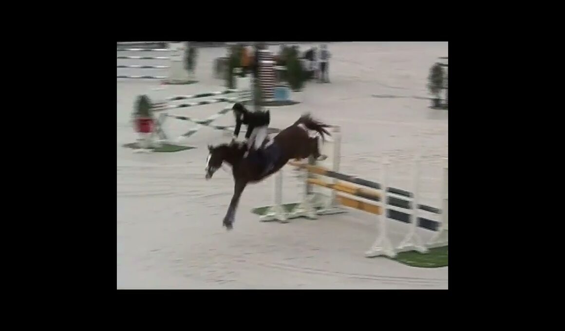 西日本馬術大会　大障害飛越競技　標準 #horse #equestrian #showjumping #内国産 #元競走馬 #調教 #馬術