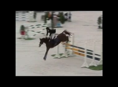 西日本馬術大会　大障害飛越競技　標準 #horse #equestrian #showjumping #内国産 #元競走馬 #調教 #馬術