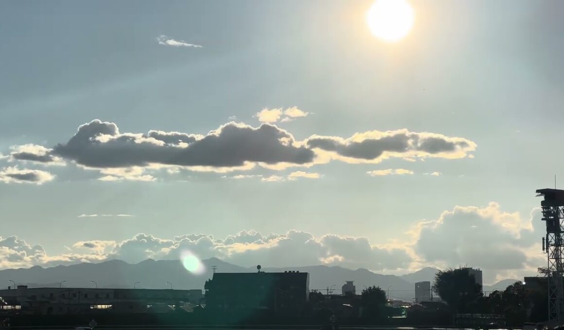2023天皇賞・秋GIウイニングラン(イクイノックス×C.ルメール)