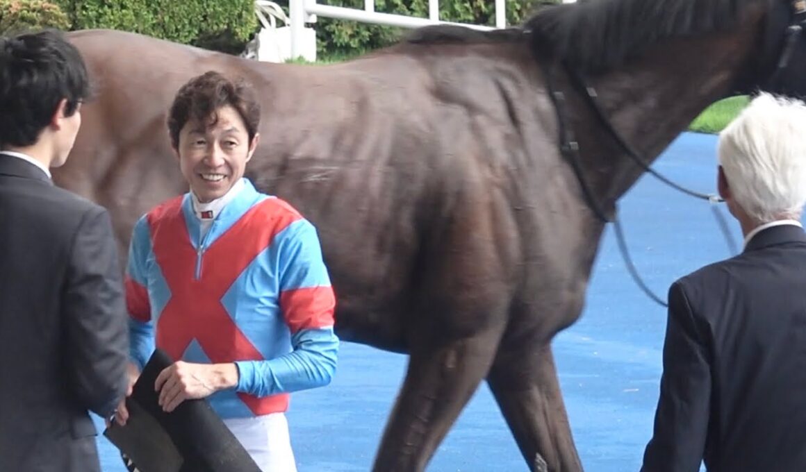 【現地】2026駒場特別 シーズザスローン 武豊騎手 昇級初戦を勝利【函館競馬場】