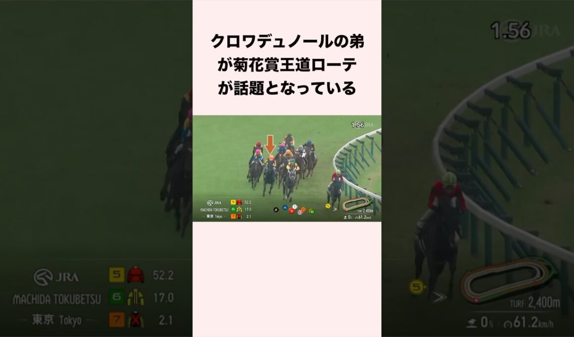 クロワデュノールの弟が菊花賞王道ローテが話題となっている #競馬 #競馬予想 #shorts