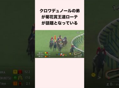 クロワデュノールの弟が菊花賞王道ローテが話題となっている #競馬 #競馬予想 #shorts
