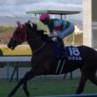 ［蔵出し］2022 阪神JF 本馬場入場・返し馬