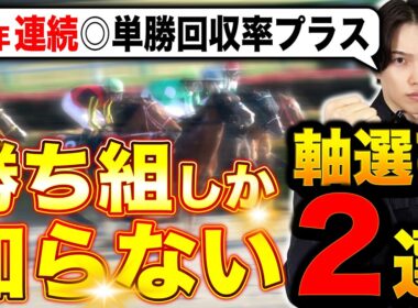 【永久保存版】11年勝ち続けたプロが教える年間単位で勝つための軸馬の選び方2選