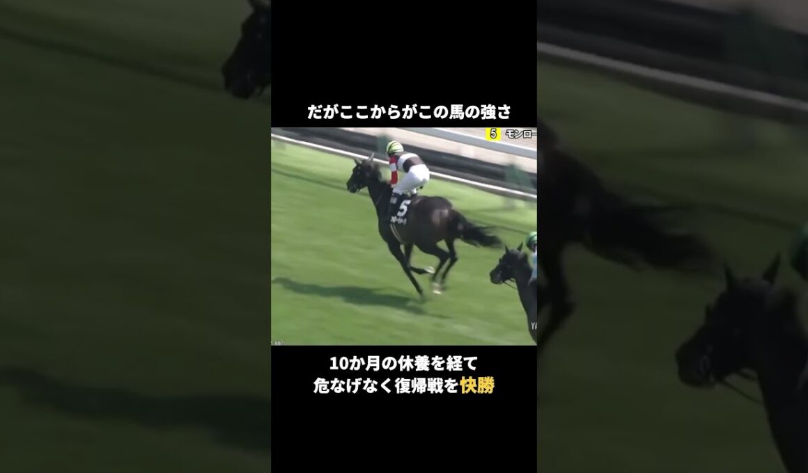 無傷の3連勝 モンローウォーク秋華賞へ【まだ底を見せない】骨折で10か月離脱→復帰2連勝。父キズナの3歳牝馬が目指すは10月の秋華賞。#Shorts #競馬 #モンローウォーク #秋華賞 #キズナ産駒