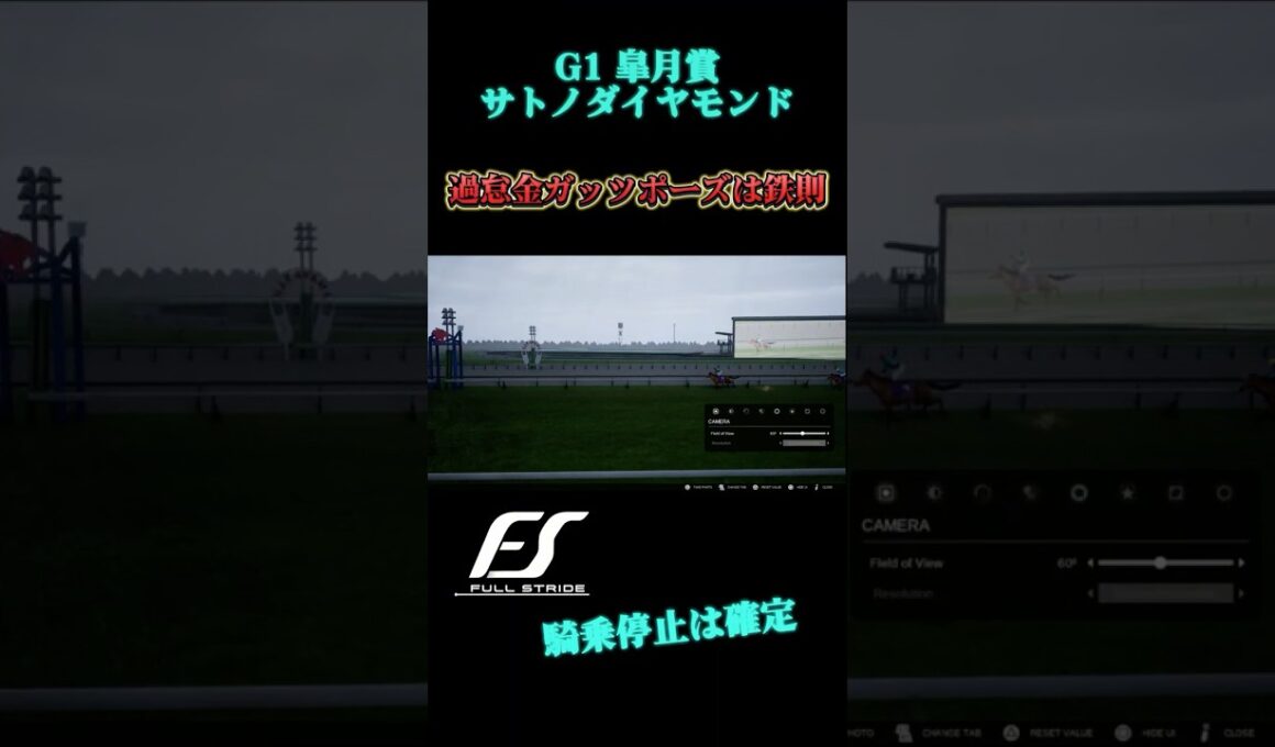 サトノダイヤモンド皐月賞で危険騎乗 【フルストライド FullStride】 #競馬