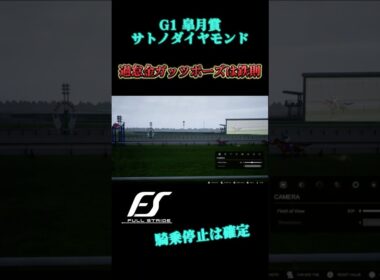サトノダイヤモンド皐月賞で危険騎乗 【フルストライド FullStride】 #競馬
