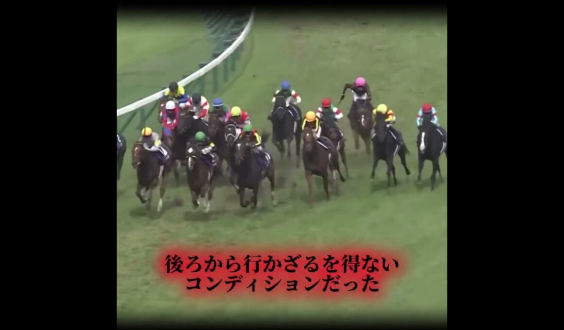 コンディションが悪くても問題なし