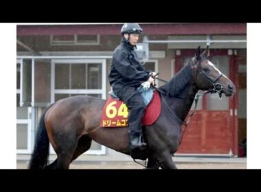 【衝撃発表🏇】ドリームコア始動決定！秋華賞へ向けた紫苑S参戦…悲願のGⅠ制覇なるか🔥#ドリームコア #紫苑ステークス #秋華賞 #競馬 #競馬予想 #オークス #クイーンカップ #G1 #競馬ニュー