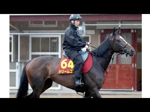 【衝撃発表🏇】ドリームコア始動決定！秋華賞へ向けた紫苑S参戦…悲願のGⅠ制覇なるか🔥#ドリームコア #紫苑ステークス #秋華賞 #競馬 #競馬予想 #オークス #クイーンカップ #G1 #競馬ニュー