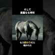 メジロマックイーン｜父子三代の悲願、春の盾を掴んだ芦毛祖父も父も届かなかった天皇賞・春を、若き武豊と制した史上唯一の父子三代天皇賞馬。#Shorts #競馬 #メジロマックイーン #武豊 #名馬列伝