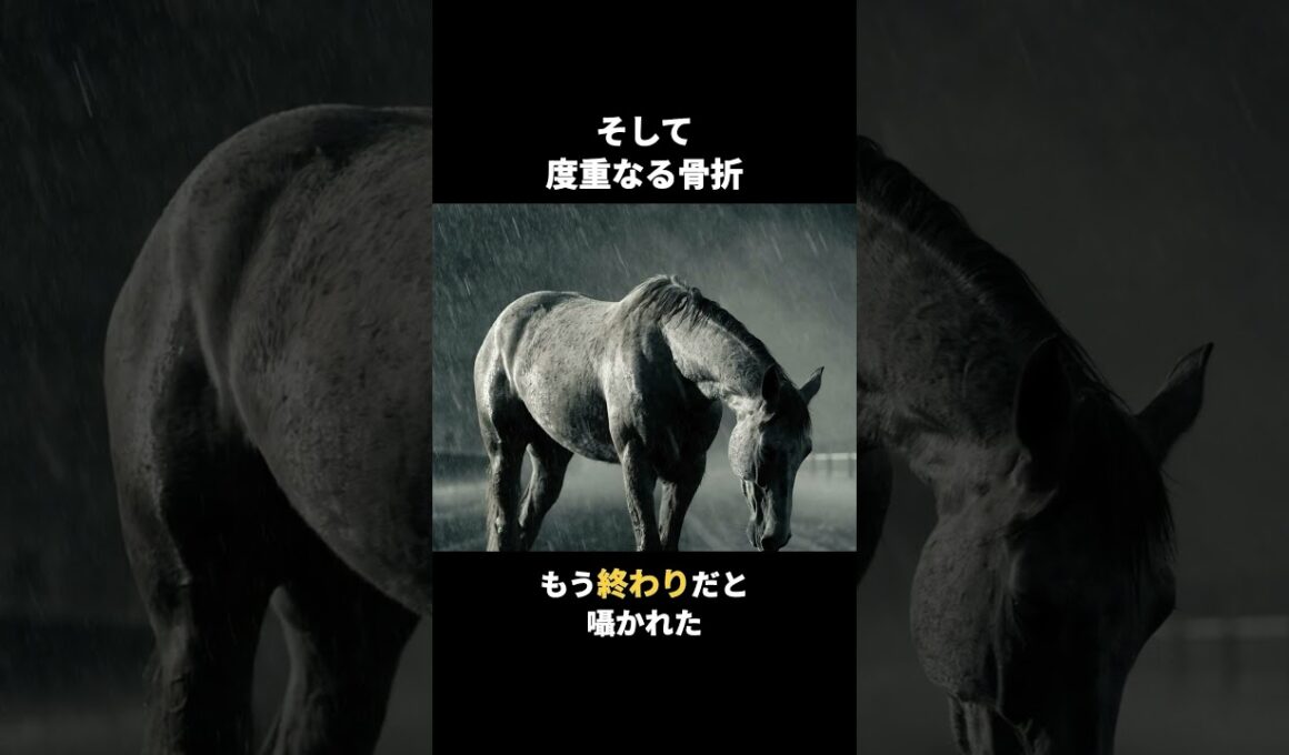 メジロマックイーン｜父子三代の悲願、春の盾を掴んだ芦毛祖父も父も届かなかった天皇賞・春を、若き武豊と制した史上唯一の父子三代天皇賞馬。#Shorts #競馬 #メジロマックイーン #武豊 #名馬列伝